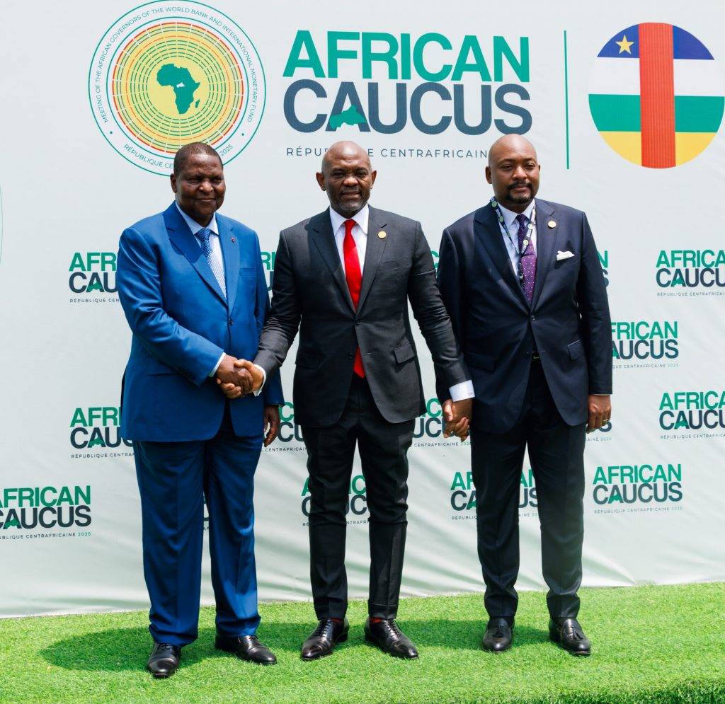 Tony Elumelu, plaide pour un développement africain