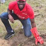 Pointe-Noire : opération de reboisement